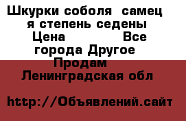 Шкурки соболя (самец) 1-я степень седены › Цена ­ 12 000 - Все города Другое » Продам   . Ленинградская обл.